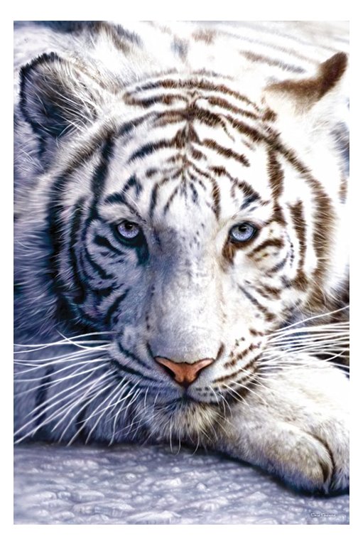 Kineski horoskop White-tiger-poster