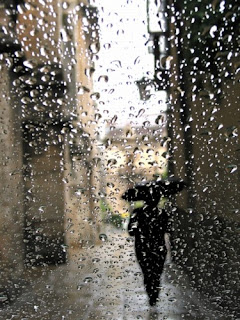    ....!! Rain