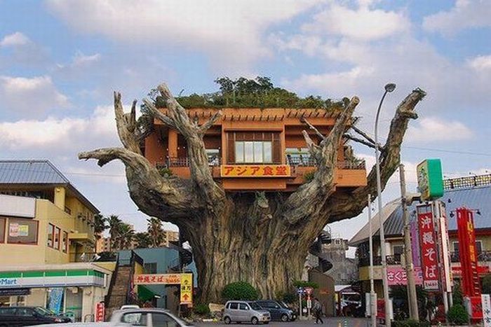   بانيان تري بناء غريب لمقهى في اليابان أقيم فوق شجرة - Strange Banyan Tree House Café in Japan Unusual_restaurants_03