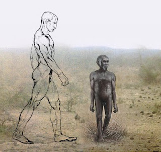 L'Homo floresiensis: premier à sortir d'Afrique ? Hobbitman1