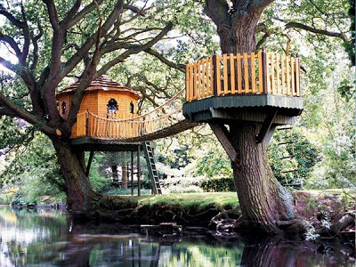 அழகிய மரங்களில் அழகான வீடுகள்.. - Page 2 Amazon-Tree-Houses-08