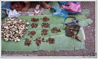 اغرب الاسواق في اسيا Unusual-asian-market-07