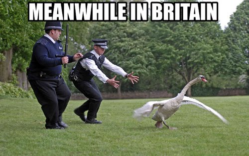 Obama, Bush Jr and Clinton? Meanwhile-in-britain