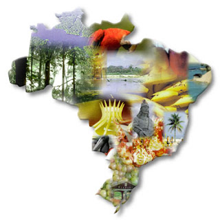 firmas creadas Brasil_turismo