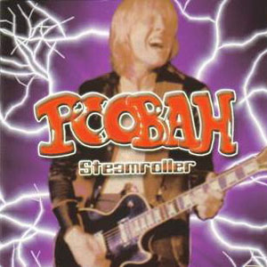 Discos magníficos, portadas chungas Poobah3