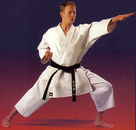 بعض حركات الكراتيه Karate-stance