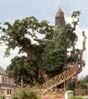 உலகில் உள்ள வித்தியாசமான சில மரங்கள் ரசிக்க கூடியவை 10-most-magnificent-trees-in-the-world-chapel-oak-of-allouville-bellefosse-5