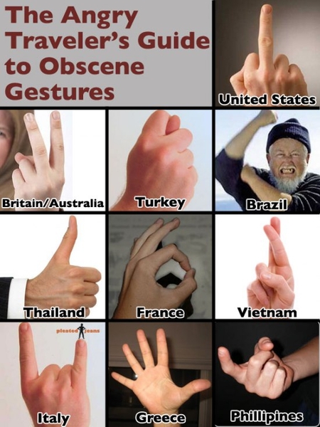 The Angry Traveler's Guide to Obscene Gesture Angry-travelers-guide