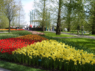 حديقة كوكنهوف أكبر حديقة زهور في العالم Keukenhof, the world's largest flower garden S8300477