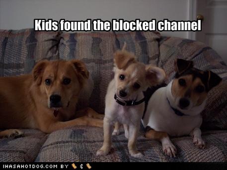 Imágenes Warras xD - Página 5 Funny-dog-pictures-kids-found-blocked-channel