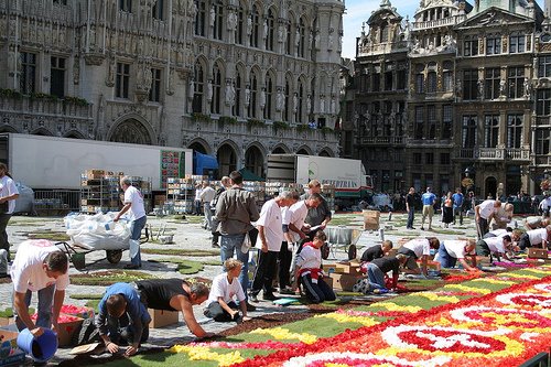 Flower Carpet 3