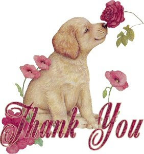 عرس في المدرسة Thank%2BYou%2BPuppy