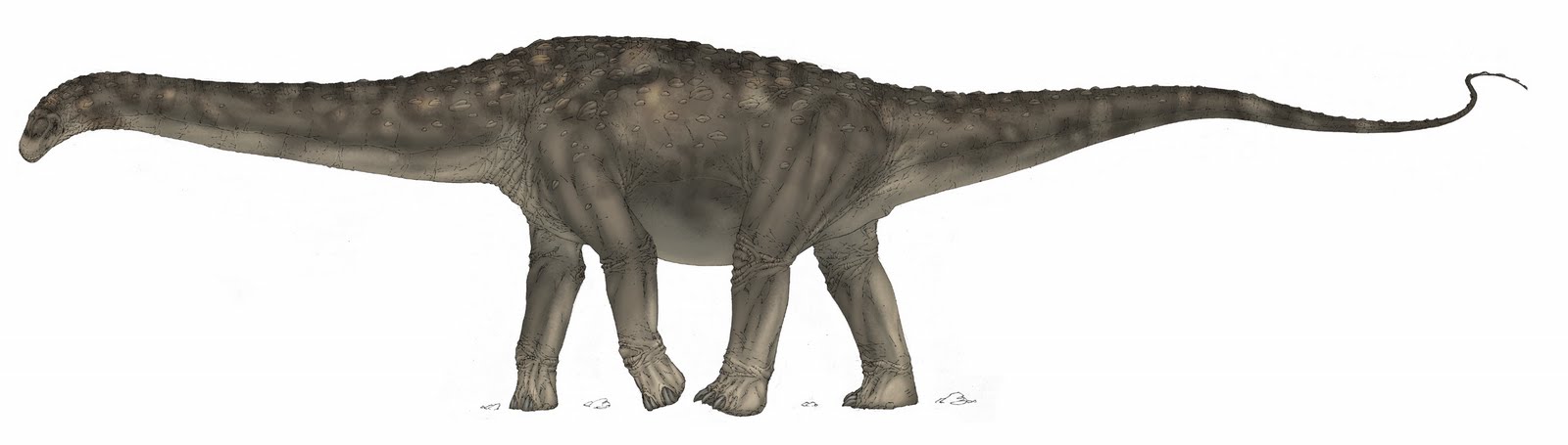 The Elite Dinosaurs of Eric "Magnus" Mendes Argentinosaurus