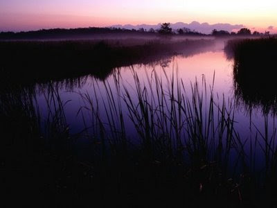 صور غروب روعه 1202035741_1201985178_sunset-at-loxahatchee