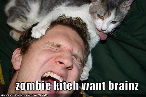 You Laugh, you lose Funny-pictures-zombie-kitten-cat