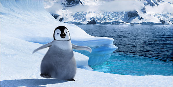 பெண் குயின் (Penguin) படங்கள். 600_penguin