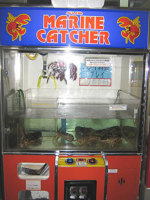 Maquinas expendedoras de que? Lobster_vending_machine
