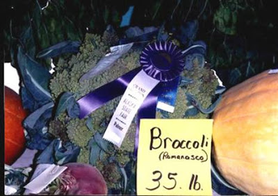 Sayuran dan Buah Terbesar yang Pernah Tumbuh A422_Broccoli