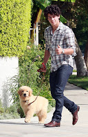 Miley Nick AMAN la Misma Mascota o Similar? 8