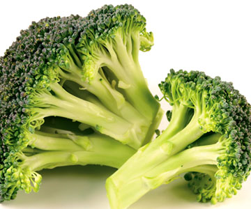Orderic Passavant. Broccoli