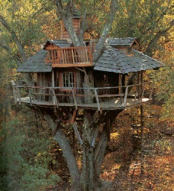 Casa de las amazonas... Treehouse