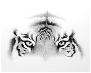 தில்.....! Tiger_eyes