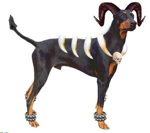 Pokémons Reais Houndoom