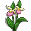 New Farmville Market Items عناصر جديدة من فارم فيل  LE-Flower-Lady-Slippers