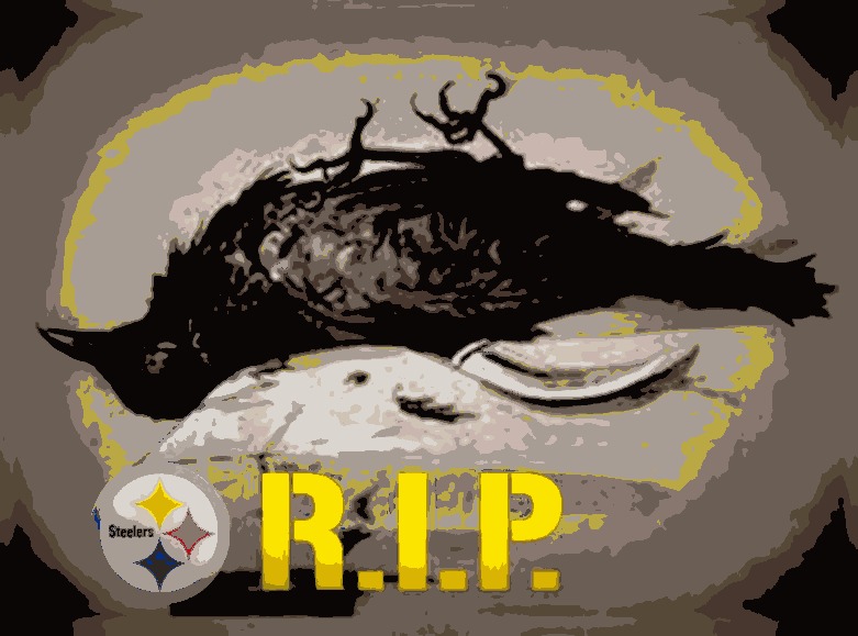 Ravens lose preseason opener. Dead_raven_rip_03_enhanced