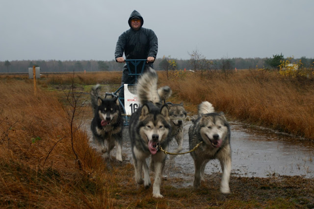 Mushing agenda of Iluniaq IMG_8450