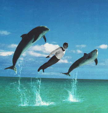 La imagen "escondida" Delfin-humanos