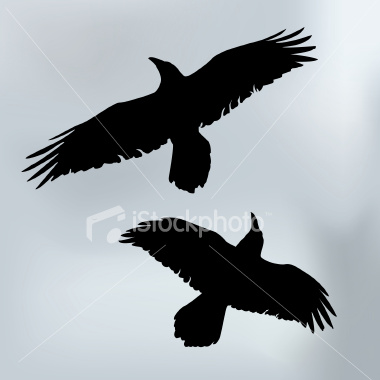 Like or Dislike - Page 10 Ist2_4614760-flying-crows