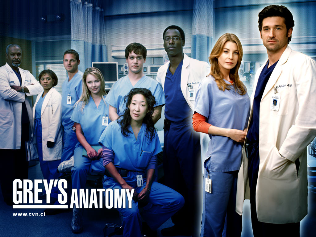 grey's anatomy Greys-anatomy-serie-tv-d044e