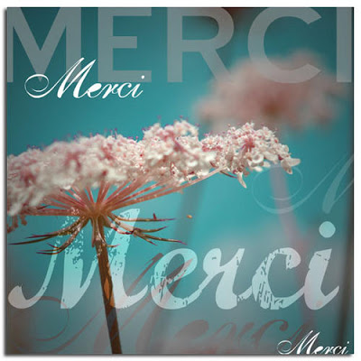       Merci-1