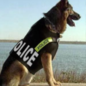 Guerra de imagenes Perros-policia-chaleco-antibalas