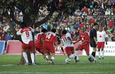 pokok tengah padang bola 1