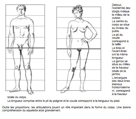 Proportions : Science figée ou interprétation libre ? Canoncorps