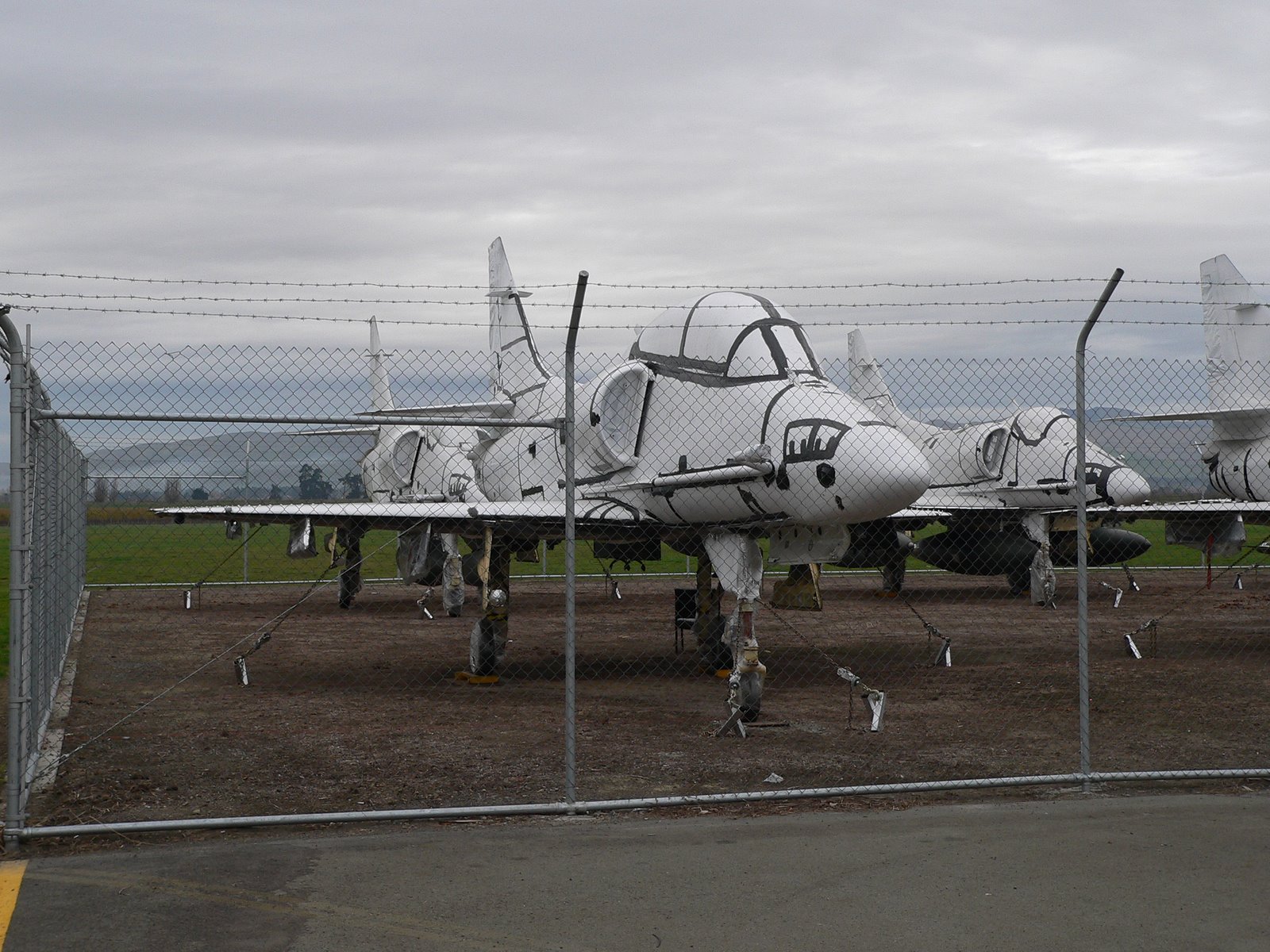 El destino de los A-4 Neozelandeses - Página 3 A-4_skyhawk%2BNew%2BZeland2