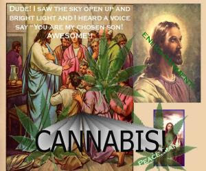 Industrial hemp, nutritional hemp verses Therapeutic Marijuana Jesus-pot