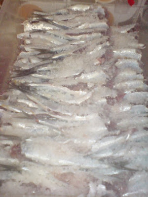 sardinha escorchada... DSC02639_2