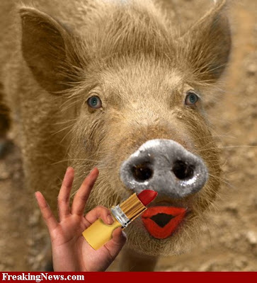 Related Picture game :D Lipstick-on-a-Hairy-Pig-zorboard-FreakingNews-37282