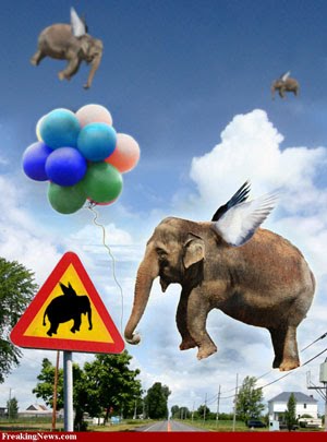 هيا بنا لنتعرف على سلوك الحيوان أضف الى معلوماتك Flying-Elephant-Traffic-Sign-32627