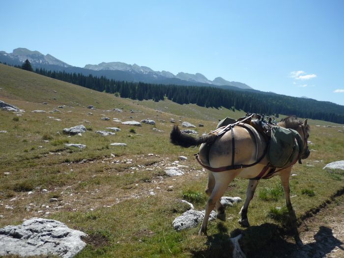 En rando dans le Vercors J4-25