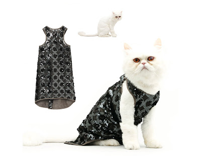 صح ملابس بس مولينا  Fashionable-cats-02