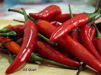  وش تعطي اللي قبلك من ثلاجتكم ؟؟؟ - صفحة 3 RedHotChiliPepper3