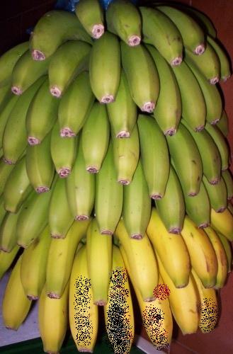 சுவை தரும் பழங்கள். Banana