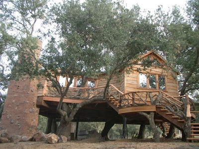 Some more crazy, cool and very unusual treehouses.... Cool-treehouse-33