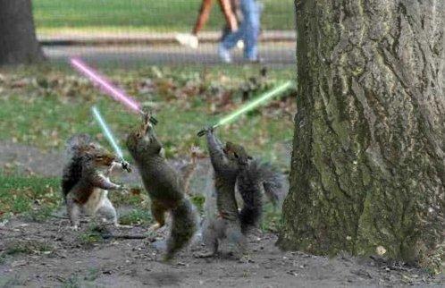 De Mass Effect à Star Wars (sujet découpé) Jedi_squirrel