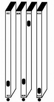 கண்ணுக்கு விருந்து - நம்பமுடியாத பொய்த்தோற்றங்கள்   Optical-illusion-pics-24