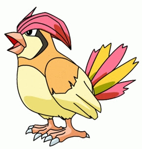 Ginásio de Violeta Pidgeotto